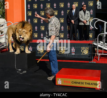 Schauspieler Sylvester Stallone (R) und Metro-Goldwyn-Mayer (MGM) CEO Gary Barber zusehen, wie MGM Maskottchen Leo der Löwe ist verewigt mit einem pfotenabdruck Zeremonie in den Vorplatz der TCL Chinese Theatre (ehemals Grauman's) in den Hollywood in Los Angeles am 22. Januar 2014. MGM begann ein Jahr lang globale Kampagne das Studio 90 zu Ehren-Legacy und Film Katalog mit der Zeremonie. UPI/Jim Ruymen Stockfoto