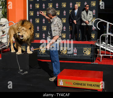 Schauspieler Sylvester Stallone (R) und Metro-Goldwyn-Mayer (MGM) CEO Gary Barber zusehen, wie MGM Maskottchen Leo der Löwe ist verewigt mit einem pfotenabdruck Zeremonie in den Vorplatz der TCL Chinese Theatre (ehemals Grauman's) in den Hollywood in Los Angeles am 22. Januar 2014. MGM begann ein Jahr lang globale Kampagne das Studio 90 zu Ehren-Legacy und Film Katalog mit der Zeremonie. UPI/Jim Ruymen Stockfoto