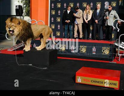 Schauspieler Sylvester Stallone (R) und Metro-Goldwyn-Mayer (MGM) CEO Gary Barber (4.-R) sehen Sie auf wie MGM Maskottchen Leo der Löwe ist verewigt mit einem pfotenabdruck Zeremonie in den Vorplatz der TCL Chinese Theatre (ehemals Grauman's) in den Hollywood in Los Angeles am 22. Januar 2014. MGM begann ein Jahr lang globale Kampagne das Studio 90 zu Ehren-Legacy und Film Katalog mit der Zeremonie. UPI/Jim Ruymen Stockfoto