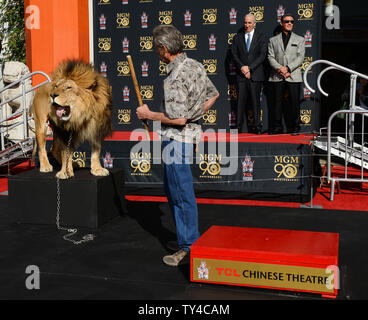 Schauspieler Sylvester Stallone (R) und Metro-Goldwyn-Mayer (MGM) CEO Gary Barber zusehen, wie MGM Maskottchen Leo der Löwe ist verewigt mit einem pfotenabdruck Zeremonie in den Vorplatz der TCL Chinese Theatre (ehemals Grauman's) in den Hollywood in Los Angeles am 22. Januar 2014. MGM begann ein Jahr lang globale Kampagne das Studio 90 zu Ehren-Legacy und Film Katalog mit der Zeremonie. UPI/Jim Ruymen Stockfoto