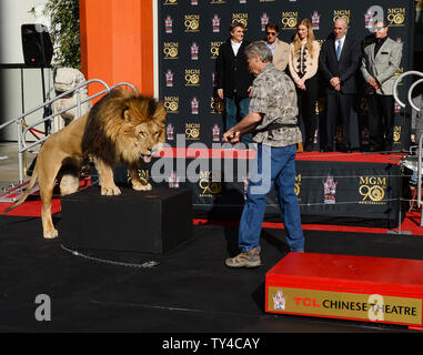 Schauspieler Sylvester Stallone (R) und Metro-Goldwyn-Mayer (MGM) CEO Gary Barber (4.-R) sehen Sie auf wie MGM Maskottchen Leo der Löwe ist verewigt mit einem pfotenabdruck Zeremonie in den Vorplatz der TCL Chinese Theatre (ehemals Grauman's) in den Hollywood in Los Angeles am 22. Januar 2014. MGM begann ein Jahr lang globale Kampagne das Studio 90 zu Ehren-Legacy und Film Katalog mit der Zeremonie. UPI/Jim Ruymen Stockfoto