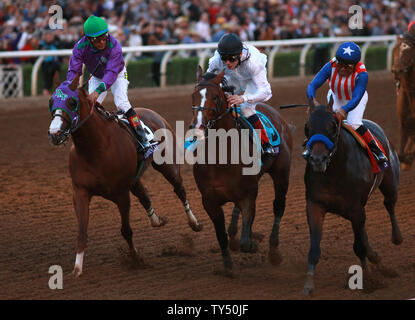 Bayern (rechts) von Martin Garcia geritten gewinnt die Brüter-Schale Klassiker wie Toast von New York (Mitte) geritten von Jamie Spencer zweite beendete, und Kalifornien Chrom (links) geritten von Victor Espinosa 2014 Brüter-Schale Weltmeisterschaften in Santa Anita Park in Arcadia, Kalifornien am 1. November 2014 Dritte beendet. UPI/Jonathan Alcorn Stockfoto