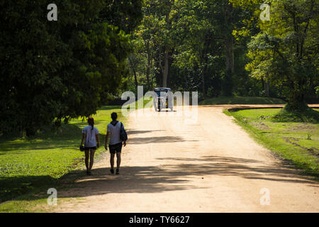 Eine Auto-rikscha (auch als Tuc Tuc oder Tuk Tuk) ist in Richtung der Lion Rock in Sigiriya. Stockfoto