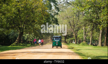 Eine Auto-rikscha (auch als Tuc Tuc oder Tuk Tuk) ist in Richtung der Lion Rock in Sigiriya. Stockfoto