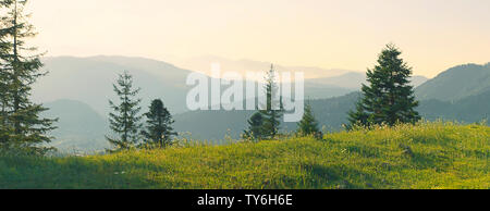 Kamille an einem Berghang. Berge Landschaft Panorama. Ridge Berge bis zum Horizont Stockfoto