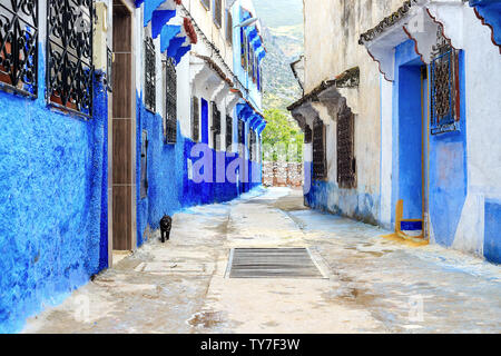 Traditionelle marokkanische architektonischen Details in Tanger, Marokko, Afrika. Chefchaouen blaue Stadt in Marokko. Stockfoto