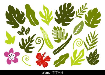 Verschiedene tropische Blätter auf weißem Hintergrund. Stock Vektor