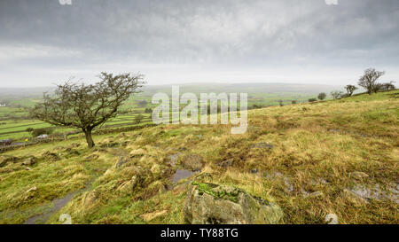 Ein Blick vom Fuße des Slemish Mountain, Ballymena, Nordirland. Stockfoto