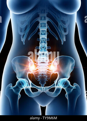 3D-gerenderte Medizinisch genaue Abbildung eines weiblichen Beckens Stockfoto