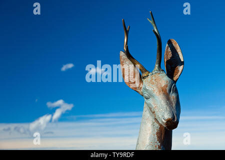 Balcón de la Cardosa, Parque Natural Saja - Besaya, Kantabrien, Spanien Stockfoto