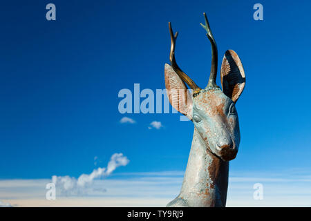 Balcón de la Cardosa, Parque Natural Saja - Besaya, Kantabrien, Spanien Stockfoto