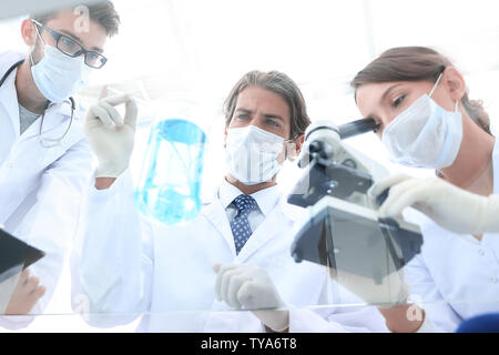 Wissenschaftler forschen in einer Testumgebung Stockfoto