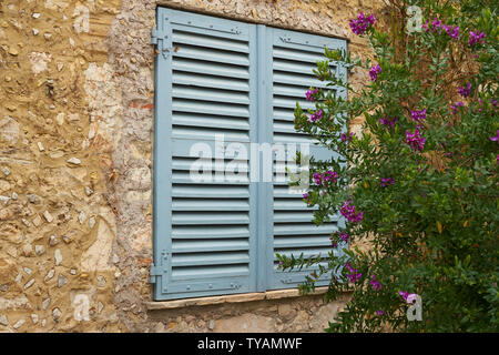Fenster mit blauem Fensterläden aus Holz von Haus aus Stein und blühende Strauch mit rosa Blumen in Frankreich Stockfoto