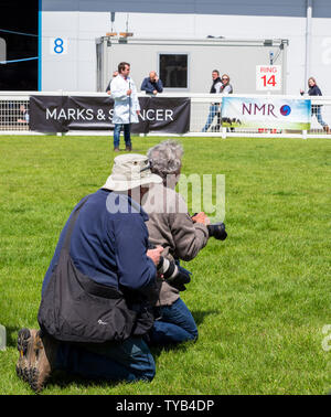 Fotografen bei der Arbeit Stockfoto