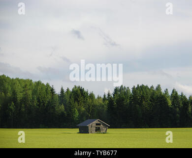 Kleine alte hölzerne Scheune auf der grünen Wiese mit Wald und Himmel als Hintergrund Stockfoto