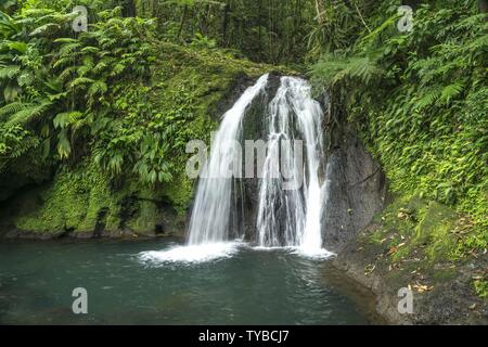 Wasserfall Cascade aux Ecrevisses im Nationalpark Guadeloupe, Basse-Terre, Guadeloupe, Frankreich | Wasserfall Cascade aux Ecrevisses Guadeloupe Nationalpark, Basse-Terre, Guadeloupe, Frankreich | Verwendung weltweit Stockfoto