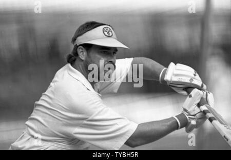 Cricket 1991 David Boon - Australien Foto von Tony Henshaw Stockfoto