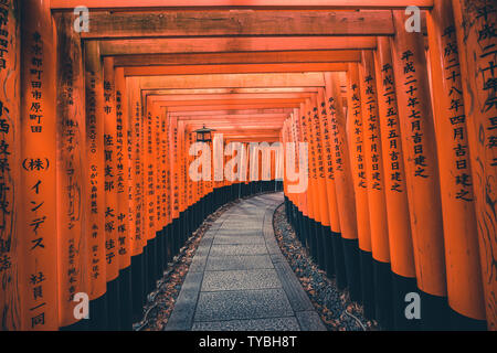 Fushimi Inari Schrein ist ein wichtiger Shinto Schrein im südlichen Kyoto, Japan. Es ist berühmt für seine Tausende von Vermilion torii Tore, die Grätsche ein Stockfoto