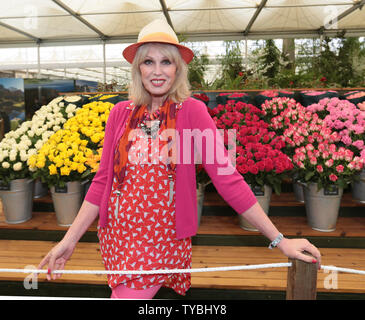 Britische Schauspielerin Joanna Lumley stellt unter den Rosen an die 100 Chelsea Flower Show in London am Montag, den 20. Mai 2013. UPI/Hugo Philpott Stockfoto