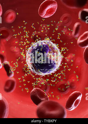 3D-Darstellung eines B-Zellen und Antikörper Stockfoto