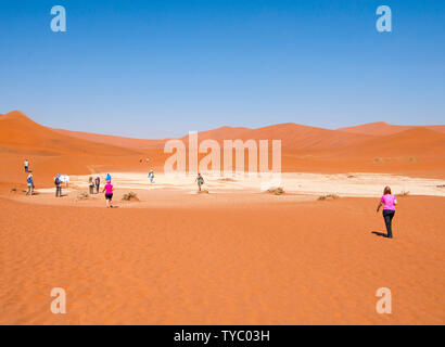 Dead Vlei, mit trockenen 900 Jahre alte Bäume stehen in der salzpfanne umgeben von aufragenden roten Sanddünen. Namib-Naukluft-Nationalpark, Namibia. Stockfoto