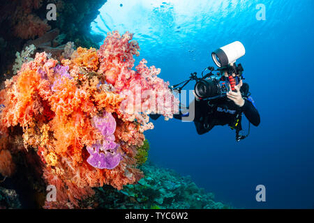 Ein Fotograf (MR) mit einer SLR in einem Gehäuse mit einem Makroobjektiv soft Coral Detail zu schießen, Indonesien. Stockfoto