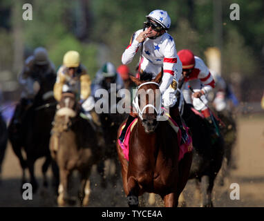 Big Brown, mit Jockey Kent Desormeaux (C) führt den Satz zum Gewinnen der 134 läuft der Kentucky Derby an Churchill Downs in Louisville, Kentucky am 3. Mai 2008. (UPI Foto/Markierung Cowan) Stockfoto