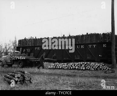 Foto von Jack Pine Industrieholz Wird geladen auf Waggons in Oscoda, Michigan; Umfang und Inhalt: Original Bildunterschrift: Jack pine Industrieholz auf Waggons in Oscoda, MI geladen wird. Stockfoto