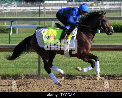 Kentucky Derby hoffnungsvoll Thunder Schnee galoppiert auf der Spur während der morgendlichen Workout in der Churchill Downs in Louisville, Kentucky, 2. Mai 2017. Trainer Saeed Bin Suroor bereitet sein Pferd für den 143 läuft der Kentucky Derby an Churchill Downs am 6. Mai stattfinden werden. Foto von John Sommers II/UPI Stockfoto