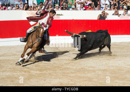 Stierkampf in Alcochete, Reiter erstechen banderilla auf einem Stier, Festas do Barrete Verde e das Salinas, Provinz Alcochete, Setubal, Portugal Stockfoto