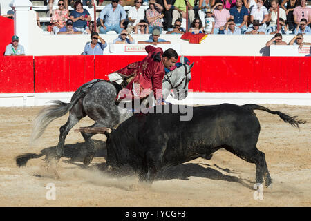 Stierkampf in Alcochete, Reiter erstechen banderilla auf einem Stier, Festas do Barrete Verde e das Salinas, Provinz Alcochete, Setubal, Portugal Stockfoto