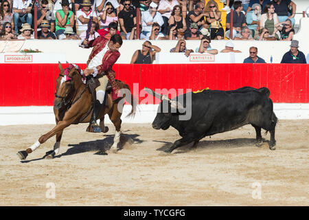 Stierkampf in Alcochete, Reiter erstechen banderilla auf einem Stier, Festas do Barrete Verde e das Salinas, Provinz Alcochete, Setubal, Portugal Stockfoto