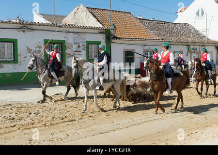 Die Parade der Gespanne und die Stiere in den Straßen, die Festas do Barrete Verde e das Salinas, Provinz Alcochete, Setubal, Portugal Stockfoto