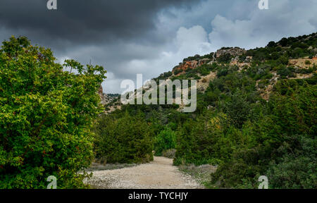 Wanderweg, Avakas-Schlucht, Akamas-Halbinsel, Zypern Stockfoto