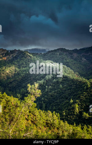 Paphos-Forst, Troodos-Gebirge, Zypern Stockfoto