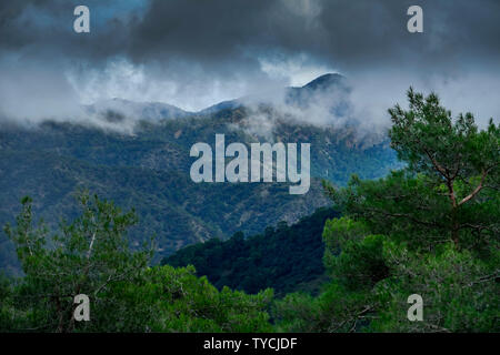 Paphos-Forst, Troodos-Gebirge, Zypern Stockfoto