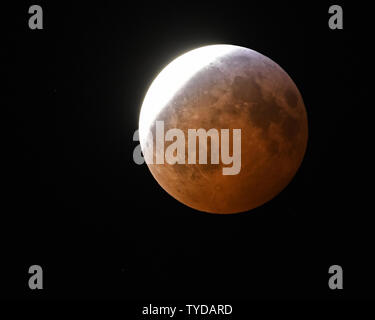 Mond schwebt am Himmel über Melbourne, Florida, wie es durch die Nacht des 20. und 21. Januar, 2019 untergegangen ist. Dies ist der einzige Mondfinsternis in diesem Jahr, die über Nordamerika sichtbar sein wird. Der Lunar Orbit wurde in nächster Nähe zur Erde und Astronomen fordern die Veranstaltung zu einem 'Super Blut Wolf Mond'. Eine Mondfinsternis tritt auf, wenn die Umlaufbahn des Mondes direkt hinter der Erde richtet, da es sich um die Sonne dreht. . Foto von Joe Marino/UPI Stockfoto