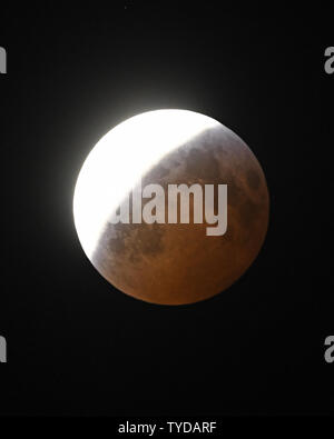 Mond schwebt am Himmel über Melbourne, Florida, wie es durch die Nacht des 20. und 21. Januar, 2019 untergegangen ist. Dies ist der einzige Mondfinsternis in diesem Jahr, die über Nordamerika sichtbar sein wird. Der Lunar Orbit wurde in nächster Nähe zur Erde und Astronomen fordern die Veranstaltung zu einem 'Super Blut Wolf Mond'. Eine Mondfinsternis tritt auf, wenn die Umlaufbahn des Mondes direkt hinter der Erde richtet, da es sich um die Sonne dreht. . Foto von Joe Marino/UPI Stockfoto