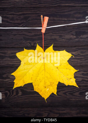 Herbst Blätter auf die wäscheleine auf hölzernen Hintergrund gehängt. Stockfoto