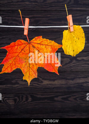 Herbst Blätter auf die wäscheleine auf hölzernen Hintergrund gehängt. Stockfoto