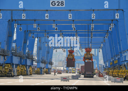 Containerumschlag Kran. Hafen von Haifa, Haifa, Israel Stockfoto