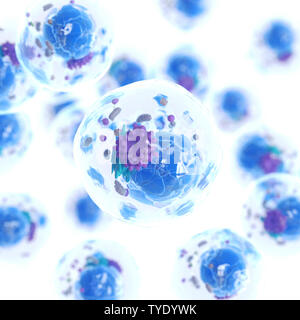 3D-Darstellung einer menschlichen Zelle Stockfoto