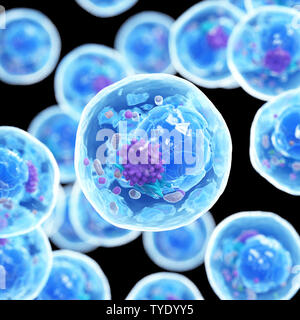 3D-Darstellung einer menschlichen Zelle Stockfoto