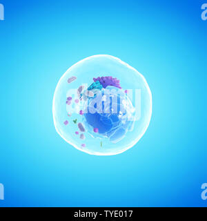 3D-Darstellung einer menschlichen Zelle Stockfoto