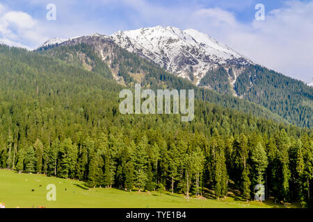 Beeindruckende Bilder von Kaschmir Valley (Paradies auf Erden). Wunderschöne Aussicht auf das Dorf Yusmarg durch Schnee gefroren Gletscher Himalaya Bergen umgeben und Stockfoto