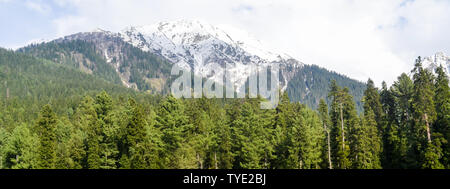 Beeindruckende Bilder von Kaschmir Valley (Paradies auf Erden). Wunderschöne Aussicht auf das Dorf Yusmarg durch Schnee gefroren Gletscher Himalaya Bergen umgeben und Stockfoto