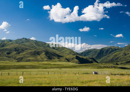 Natürliche Landschaft von Kanas Prairie im Altai, Xinjiang Stockfoto