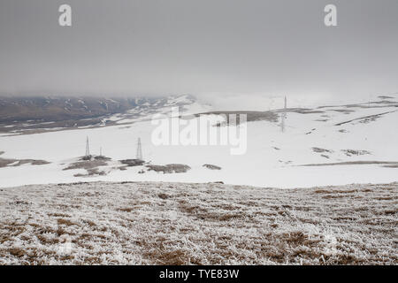 Im zeitigen Frühjahr, National Highway 218 Aiken Dasaka ist immer noch im kalten Winter, und alle Unkräuter auf dem Boden mit einer dünnen Eisschicht bedeckt. Stockfoto