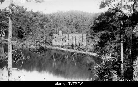 Foto von Tubbs See; Umfang und Inhalt: Original Bildunterschrift: Tubbs See nach Südwesten ab der Hälfte bis Bank. Stockfoto