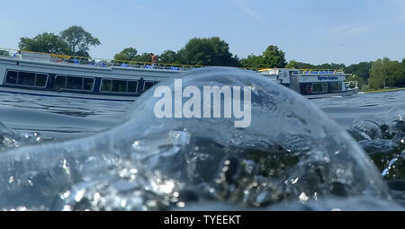 Berlin, Deutschland. 26 Juni, 2019. Eine Exkursion Boot segelt an der Spree am Treptower Park. Credit: Paul Zinken/dpa/Alamy leben Nachrichten Stockfoto